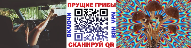 Галлюциногенные грибы GOLDEN TEACHER Невель