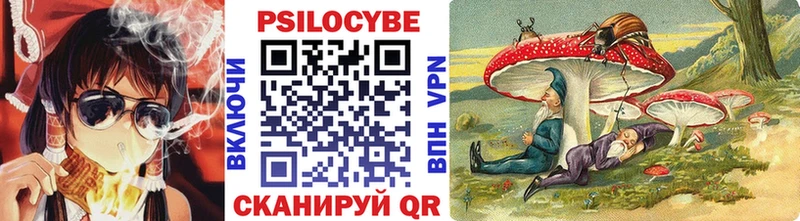 площадка клад  Невель  Псилоцибиновые грибы GOLDEN TEACHER 