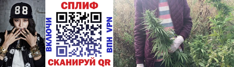 Каннабис тримм  omg ссылка  Невель  закладка 
